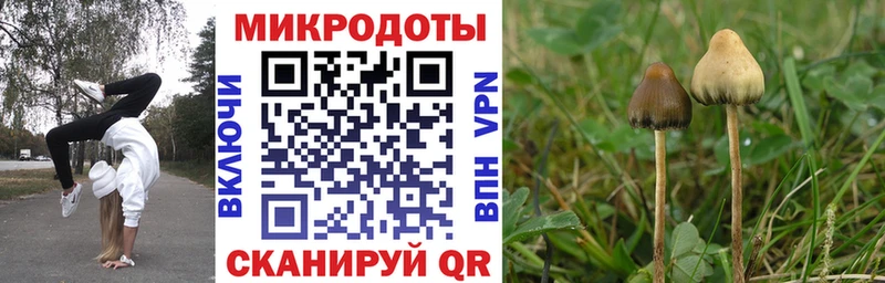 Псилоцибиновые грибы Psilocybine cubensis  МЕГА сайт  Челябинск 