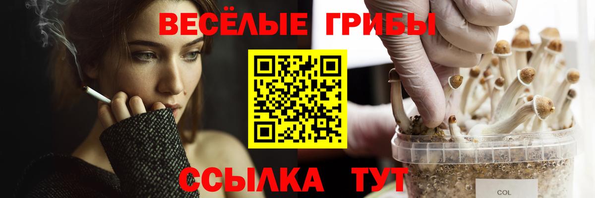 Челябинск  Псилоцибиновые грибы мицелий  Галлюциногенные грибы ЛСД  Вход с VPN 