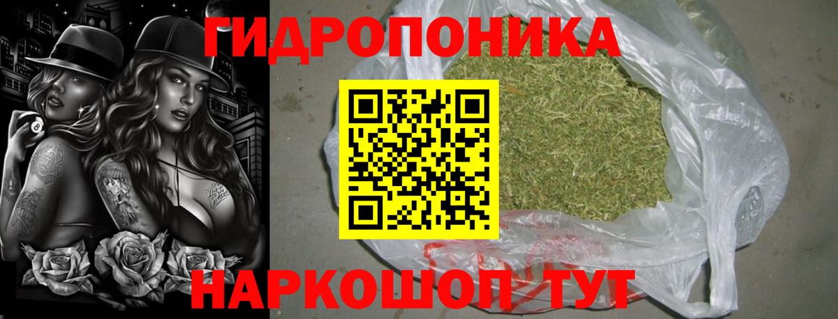 Шишки марихуана планчик  Вход с VPN  Бошки марихуана конопля  Челябинск 